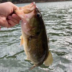 1日ボート釣行！