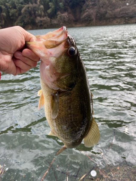 1日ボート釣行！