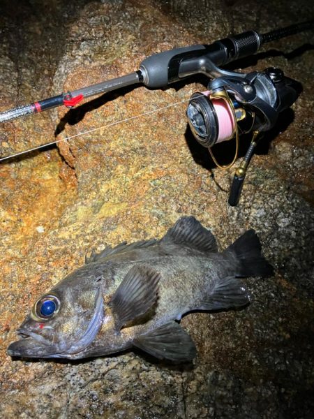 淡路島でライトゲーム