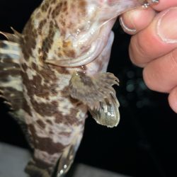 冬のタケノコ掘り♪