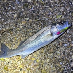 未開拓のウェーディングポイント