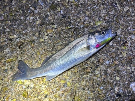 未開拓のウェーディングポイント