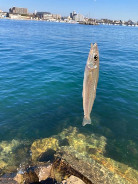 東二見釣行!