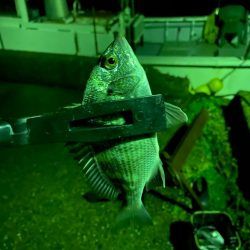 深夜ライトゲーム