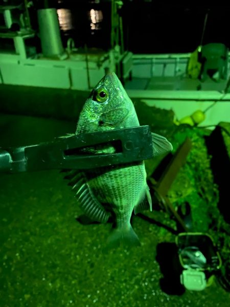 深夜ライトゲーム