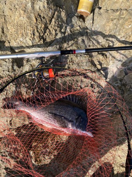 磯　フカセ釣り