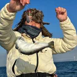 播磨のカットウフグ