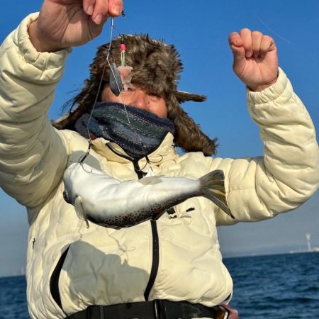 播磨のカットウフグ