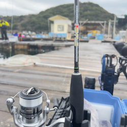 サーモン/ルアー・脈釣り