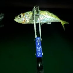 2024年の初釣り！！