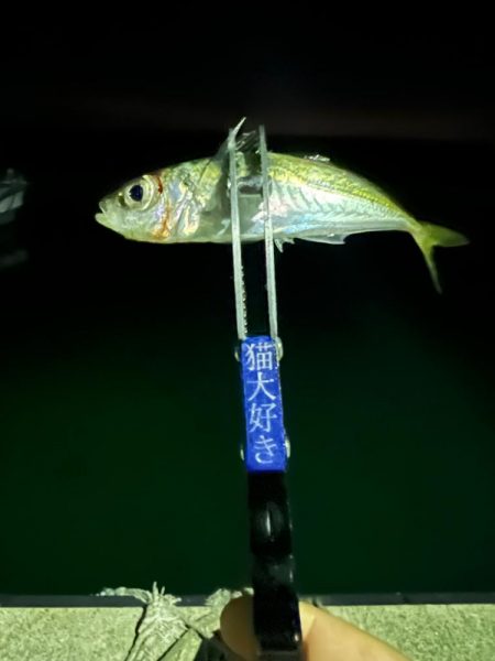 2024年の初釣り！！