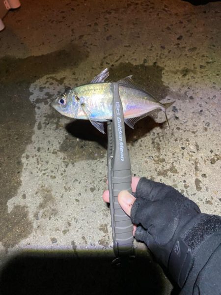 釣れる時間短い