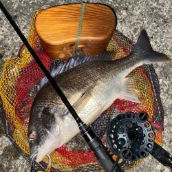 ヘチってきました