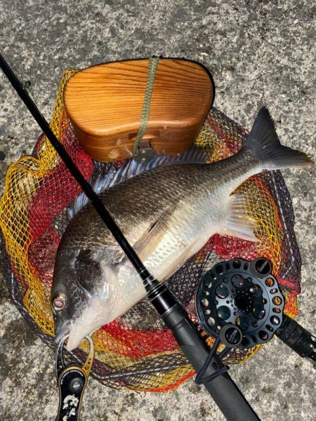 ヘチってきました