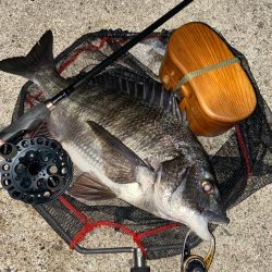 ヘチってきました