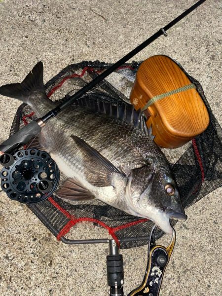 ヘチってきました