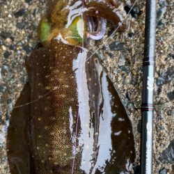 そろそろ終わりかな？