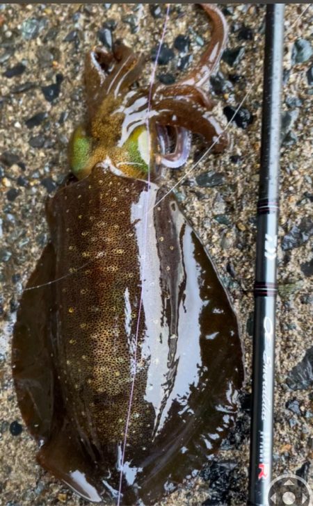 そろそろ終わりかな？