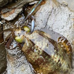 大雨に耐えて！
