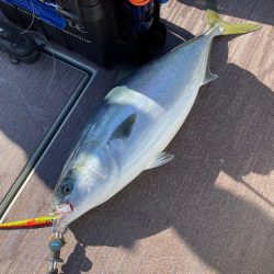 丹後沖ジギング