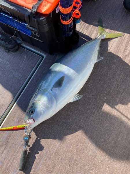 丹後沖ジギング