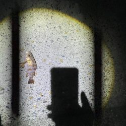 エギングは厳しかった。