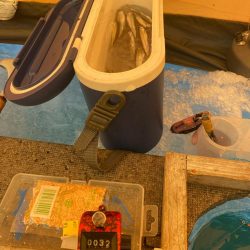 ワカサギ釣り&シナノユキマス釣り