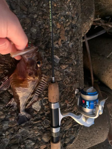 明けましておめでとうございます！