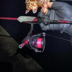 短時間、深夜ライトゲーム