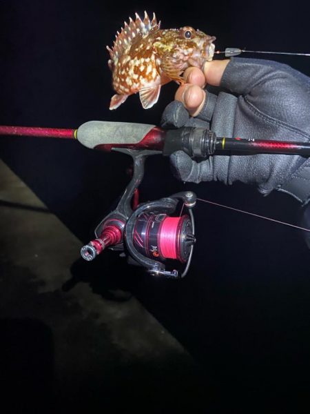 短時間、深夜ライトゲーム