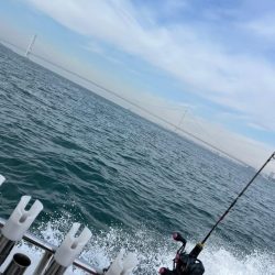 明石タイラバ！！