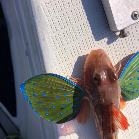 2024初釣行の結果は…