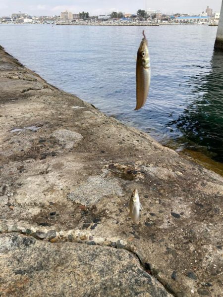東二見釣行！