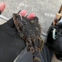 真冬のライトゲーム