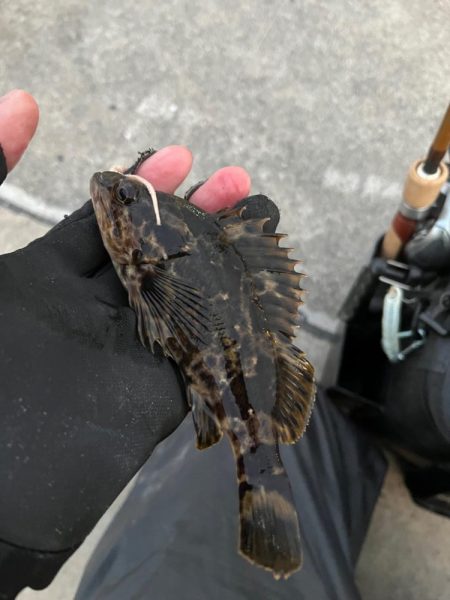 真冬のライトゲーム