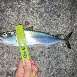 フロートアジング