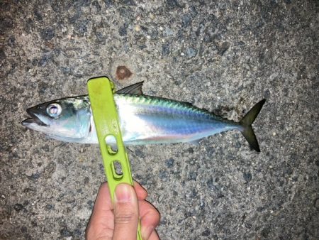 フロートアジング