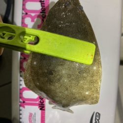 ボートアジング