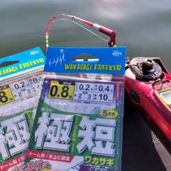 愛知県入鹿池ボート ワカサギ釣り！