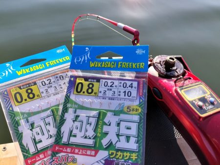 愛知県入鹿池ボート ワカサギ釣り！