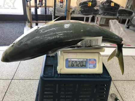 新年からのブリ