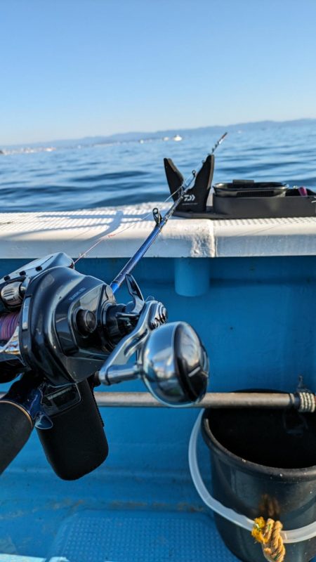 色んな魚種（サウス）