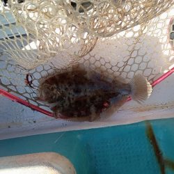 伊島近海鯛ラバ