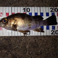 活性は高くない。