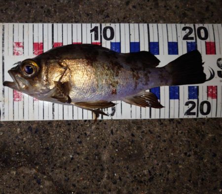 活性は高くない。