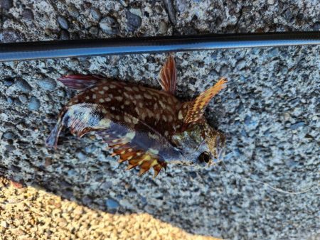 大きさの割に引きが