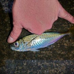 爆風からの吹雪