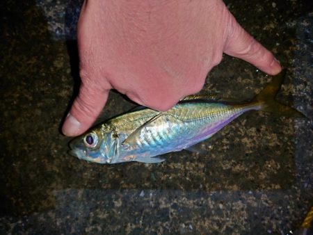 爆風からの吹雪