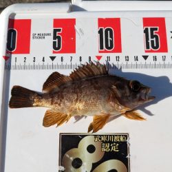 遠投カゴ釣りで真鯛狙い