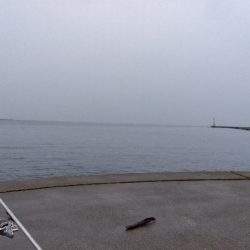 苅屋海岸の投げ釣り